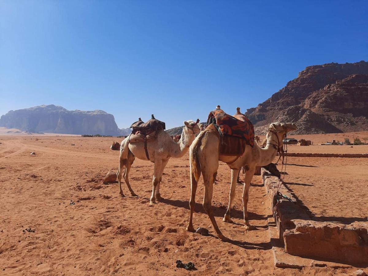 Wadi Rum Secrets Camp מראה חיצוני תמונה